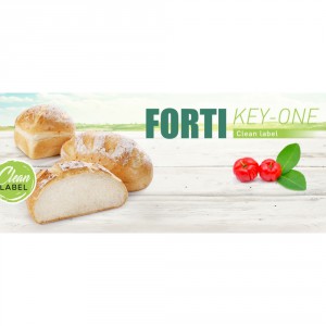 FORTI KEY ONE 20KG|3008294