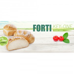 FORTI KEY ONE 20KG |3005603