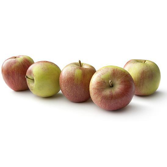 APPELMOES MET STUKJES 3X5KG MATERNE|1196