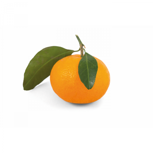 MANDARINES 12X1KG JAZMIN |1522